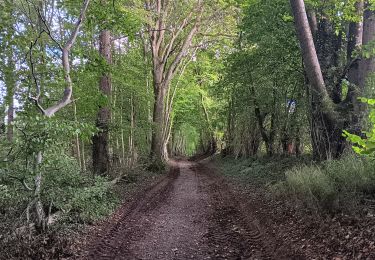 Trail Walking Sprimont - autour de dolembreux  - Photo