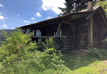 Percorso Marcia Sewen - Sewen-Cascades du Lac d’Alfeld-Abri Schalling Hütte - Photo