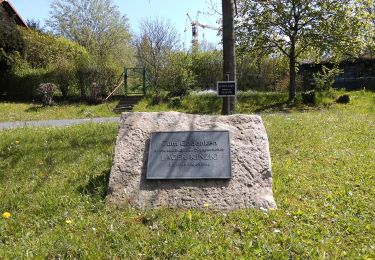 Tocht Te voet Sinntal - Sterbfritz - Rundweg 2 - Photo