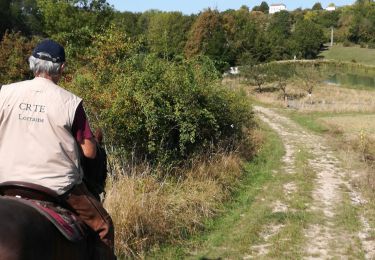 Randonnée Randonnée équestre Charmois - rando des vergers 2020  - Photo