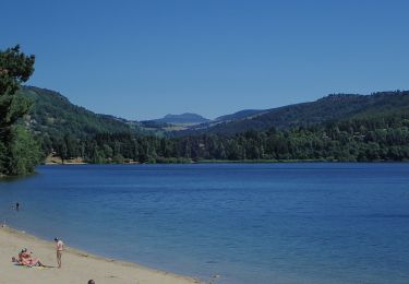 Excursión A pie Le Lac-d'Issarlès - Le tour du Lac - Photo