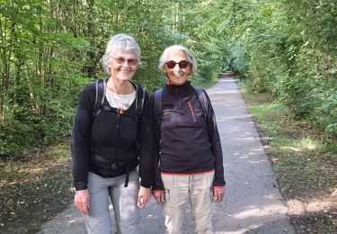 Percorso Marcia Gisors - Gisors voie verte jusqu'à Beausséré - Photo