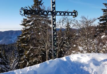 Trail Snowshoes Autrans-Méaudre en Vercors - gros martel - Photo