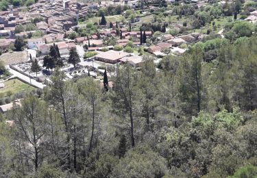 Tour Wandern Cabasse - antenne Cabasse  - Photo