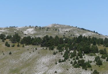 Percorso Marcia Châtillon-en-Diois - La Montagnette par le Pas de la Plane (Combau) - Photo