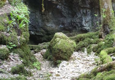 Trail Walking Espagnac-Sainte-Eulalie - St Eulalie  Marcilhac J2+ - Photo