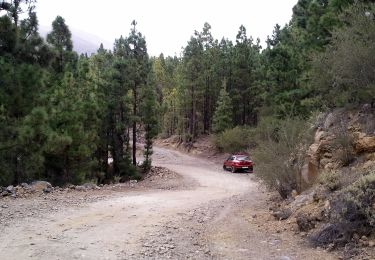 Trail On foot Los Realejos - Camino de Chasna - Photo