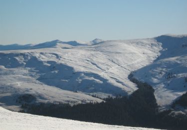 Excursión A pie Desconocido - Șaua Huluzul - Cabana Groapa Seaca - Photo