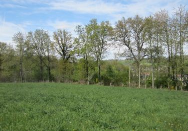 Randonnée Marche Ry - 20240423-ry-martin-ville-epreville - Photo