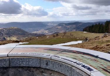 Excursión Senderismo Ventron - 2022-02-19 Marche Ventron Tête des Champs - Photo