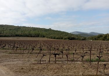 Trail Walking Quissac - Quissac Bragassargues le 10 février 2022 - Photo