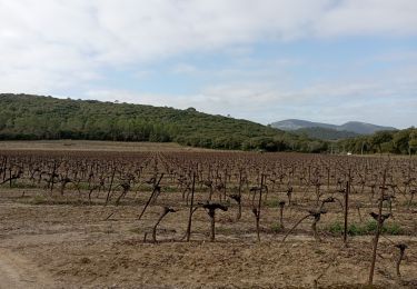 Tour Wandern Quissac - Quissac Bragassargues le 10 février 2022 - Photo