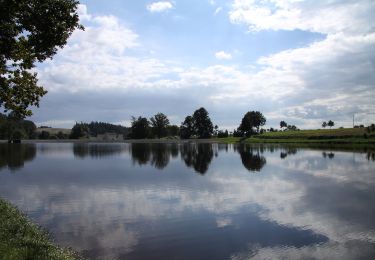 Tocht Te voet Milevsko - Milevský vyhlídkový okruh - Photo