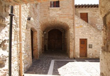 Percorso A piedi Perugia - Ponte Pattoli-Corciano - Photo