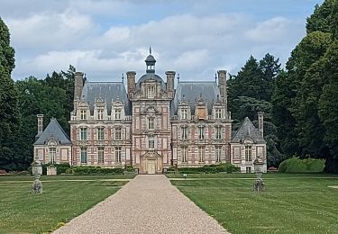 Tour Wandern Mesnil-en-Ouche - 20220610 Beaumesnil - Photo