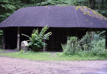 Randonnée A pied Inconnu - Rundwanderweg Blockhaus 2: Rindenhäusle-Weg - Photo