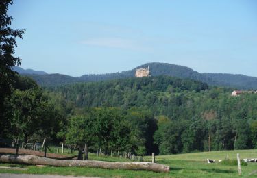 Trail Walking Lembach - Autour du Fleckenstein - Photo