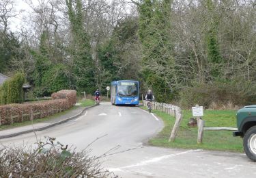 Trail On foot Mole Valley - The Box Hill Hike - Photo