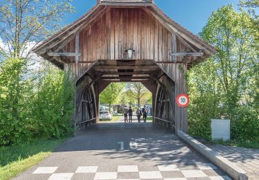 Tour Zu Fuß Nottwil - Nottwil - Sempach (Vogelwarte) - Photo