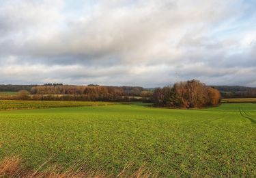 Randonnée Marche Philippeville - Balade à Jamiolle - Photo