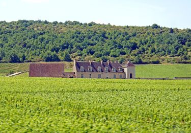 Excursión A pie Bouze-lès-Beaune - Sentier des Biques - Photo