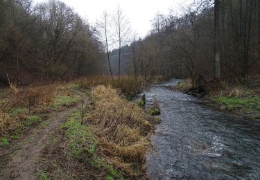 Randonnée A pied Čisovice - [M] Bojanovice-Slapy - Photo