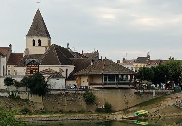 Randonnée Vélo de route Pouilly-sur-Saône - mn06 - Photo