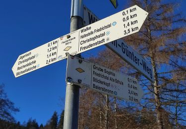 Excursión A pie Baiersbronn - Baiersbronn Gleitschirmlandeplatz-Freudenstadt - Photo