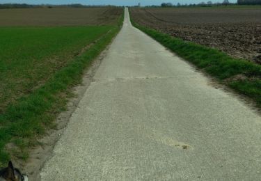 Percorso Marcia Tongeren -  CANI-RANDO TOUR (boucle, Tongres 10km) - Photo