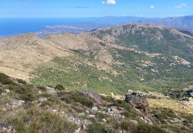 Tocht Stappen Pioggiola - J13 montée san Partéo depuis Pioggiola - Photo