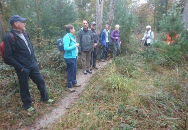 Tocht Stappen Fontainebleau - 26 octobre 2021 cabaret masson  - Photo