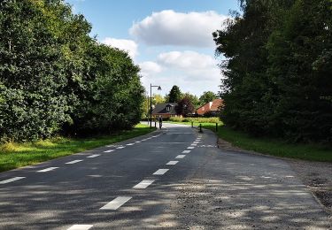 Tocht Te voet  - Løberuter i Albertslund - Grøn rute i Vestskoven 9,9 km - Photo