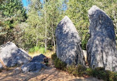 Trail Walking Fournols - AUVERGNE 2023 Fournols - Les 2 frères  - Photo