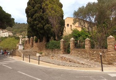 Trail Walking Bormes-les-Mimosas - Bormes les Mimosas 15-04-22  - Photo