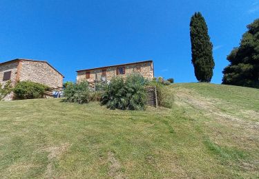 Randonnée Marche San Quirico d'Orcia - San Quirico /  Gallina - Photo