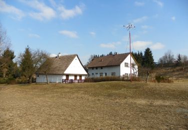 Percorso A piedi Záchlumí - [M] Litice nad Orlicí - Žamberk - Photo