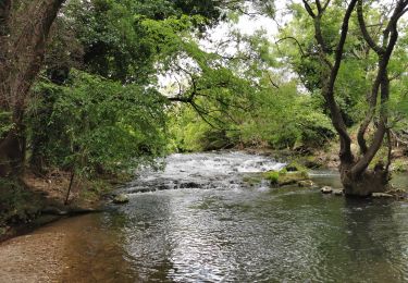 Randonnée Marche Besse-sur-Issole - Boucle entre Besse et Ste Anastasie sur Issole - Photo