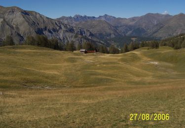 Percorso A piedi Santo Stefano di Tinia - Cime de la Bercha - Photo