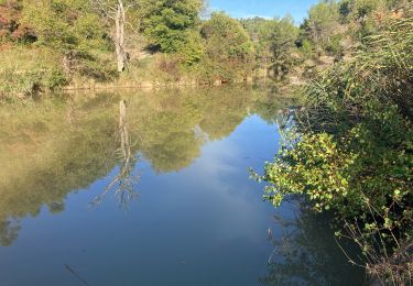 Tour Pfad Sainte-Tulle - Trou Du Loup-Corbières(15K 380D+) - Photo