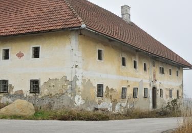 Randonnée A pied Nußbach - Nussgeistweg - Photo