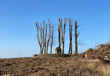 Tour Wandern Neufchâteau - Neufchateau 25 km - Photo