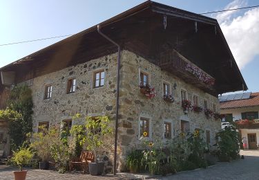 Randonnée A pied Teisendorf - Salzburgblick-Weg Nr. 25 - Photo