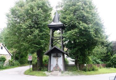 Trail On foot Gemeinde St. Andrä-Wördern - Rundwanderweg 5 - Photo