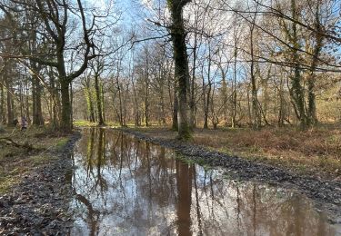 Randonnée Marche Cerisy-la-Forêt - Cerisy la Forêt  - Photo