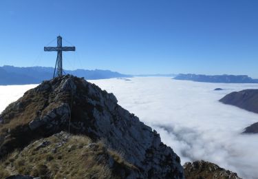 Trail Walking Saint-Pierre-d'Albigny - Dent d'Arclusaz - Photo