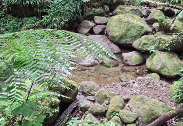 Tour Wandern Le Morne-Vert - Boucle Montjoly Canton Suisse - Photo