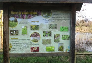 Trail Walking Les Authieux-sur-le-Port-Saint-Ouen - 20200204-les-authieux-igoville - Photo