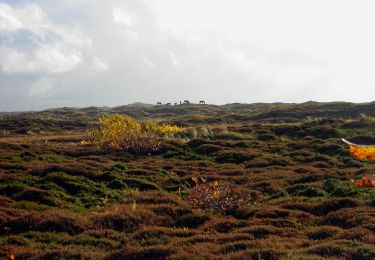 Randonnée A pied Texel - De Bollekamer - Photo