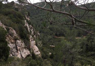 Trail Walking Bize-Minervois - Montredon / Combebelle-le-haut - Photo