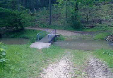 Percorso A piedi Monheim - Karstlehrpfad Monheim - Photo